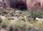 Close up of a small unnamed spring one mile west of Fifty Mile Spring. See previous image text. Lamont Crabtree Photo